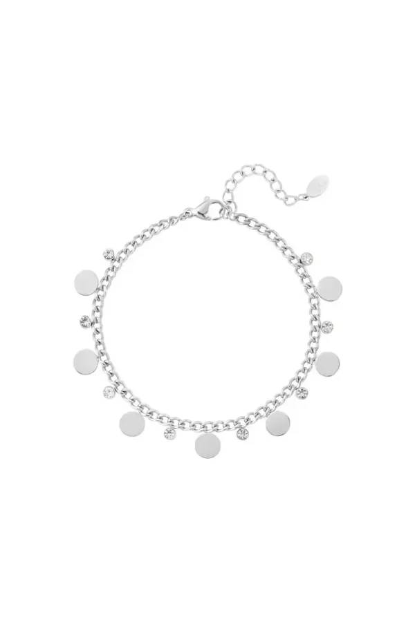 RVS armband coins