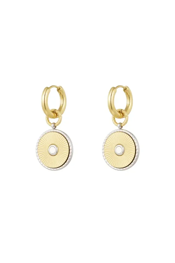 RVS oorbellen goud en zilver