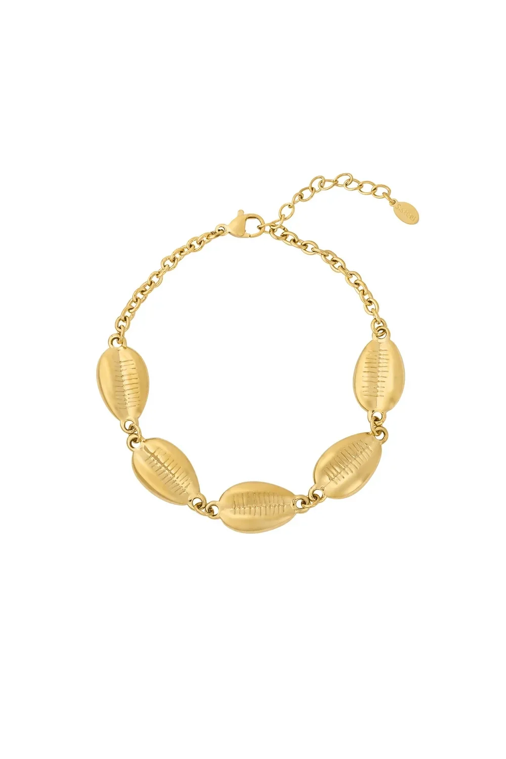RVS armband schelpen