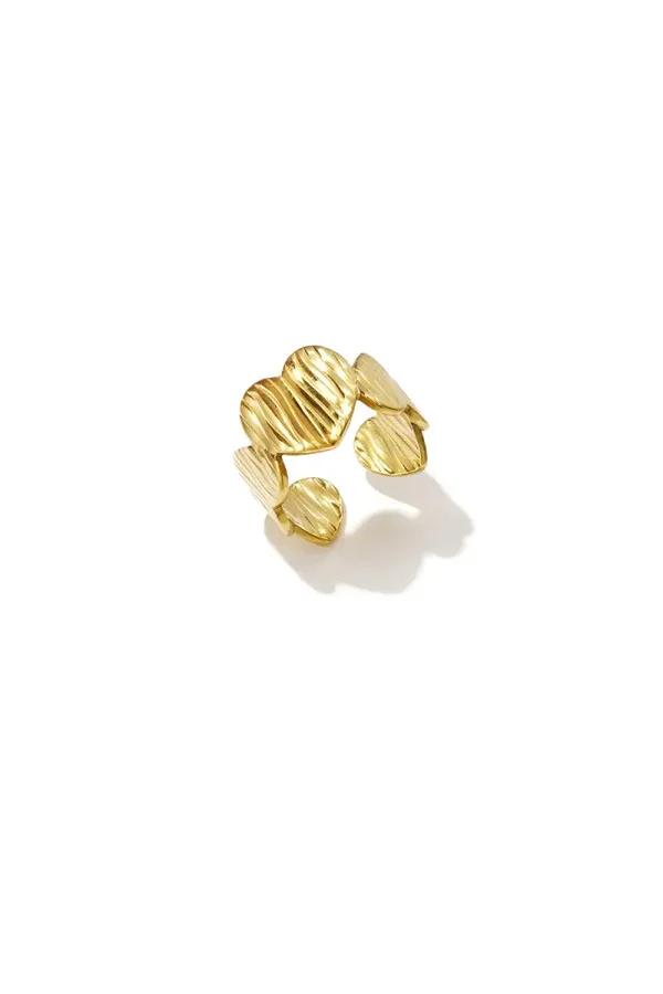 RVS ring harten