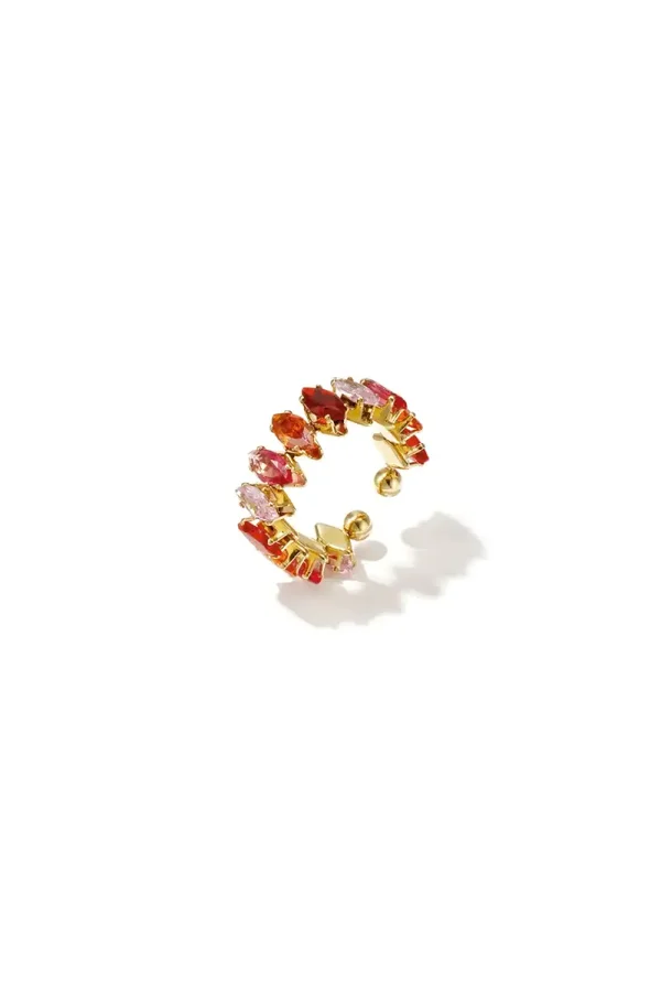 RVS ring kleur