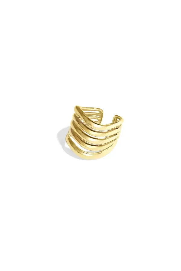 RVS ring lagen