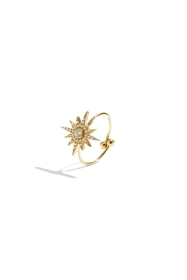 RVS ring ster