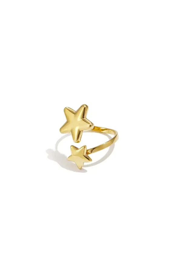 RVS ring ster