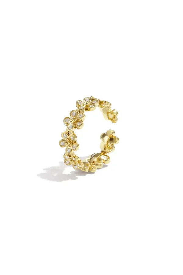 RVS ring