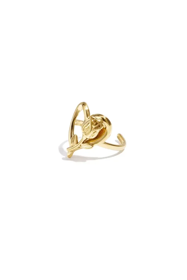 RVS ring roos met hart