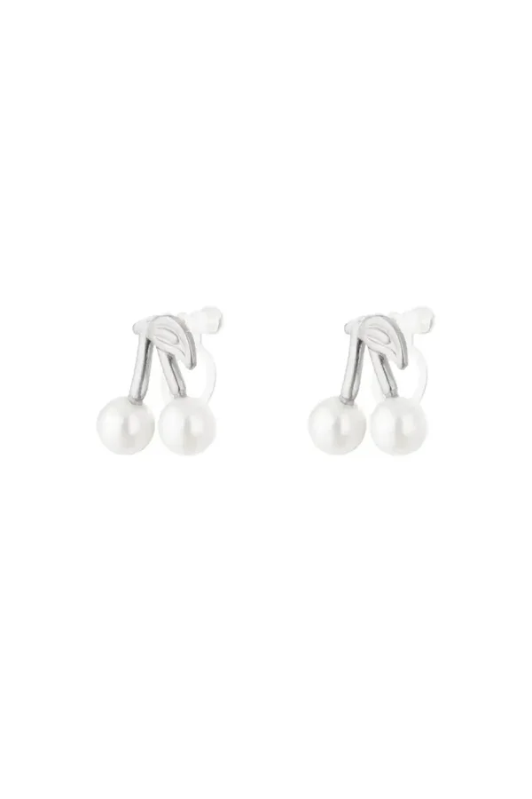 RVS oorbellen clips!