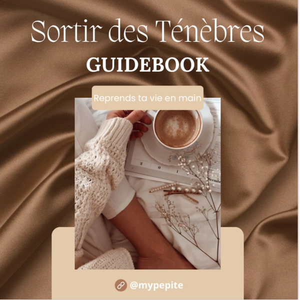 Guidebook Sortir des ténèbres