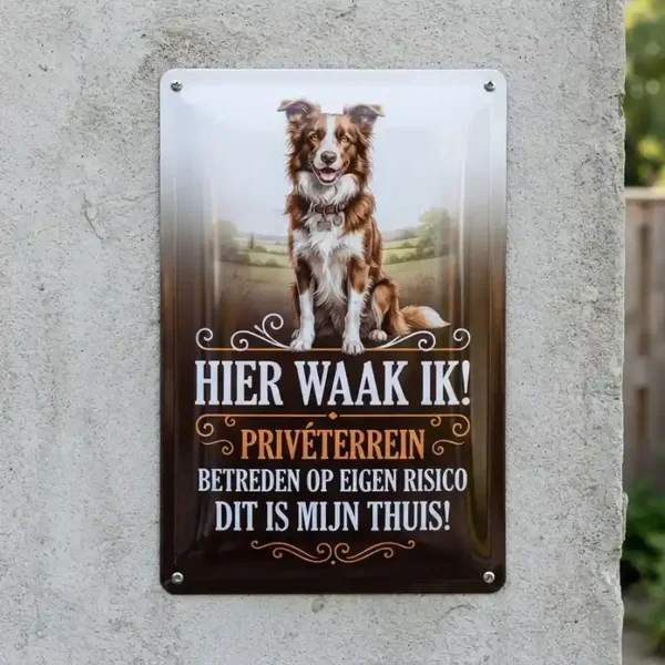 Metalen Bord Border Collie - Hier Waak Ik