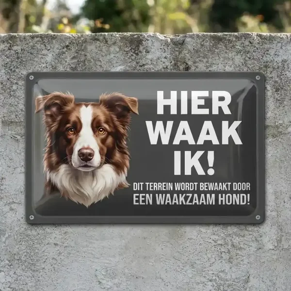 Metalen Bord - Hier Waak Ik - Border Collie