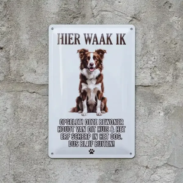 Metalen bord Hier Waak Ik - Border Collie