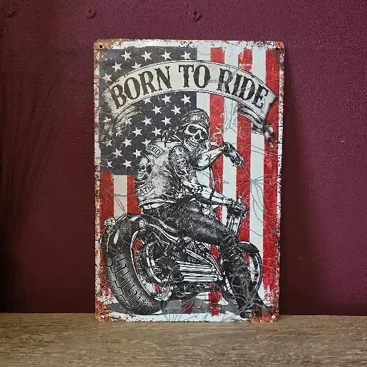 Metalen Wandbord Born to Ride - Motor Schedel 20x30 cm