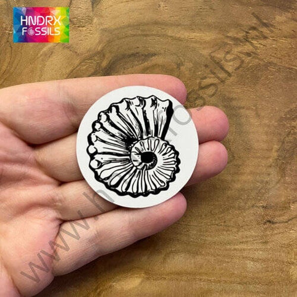 Sticker Ammoniet