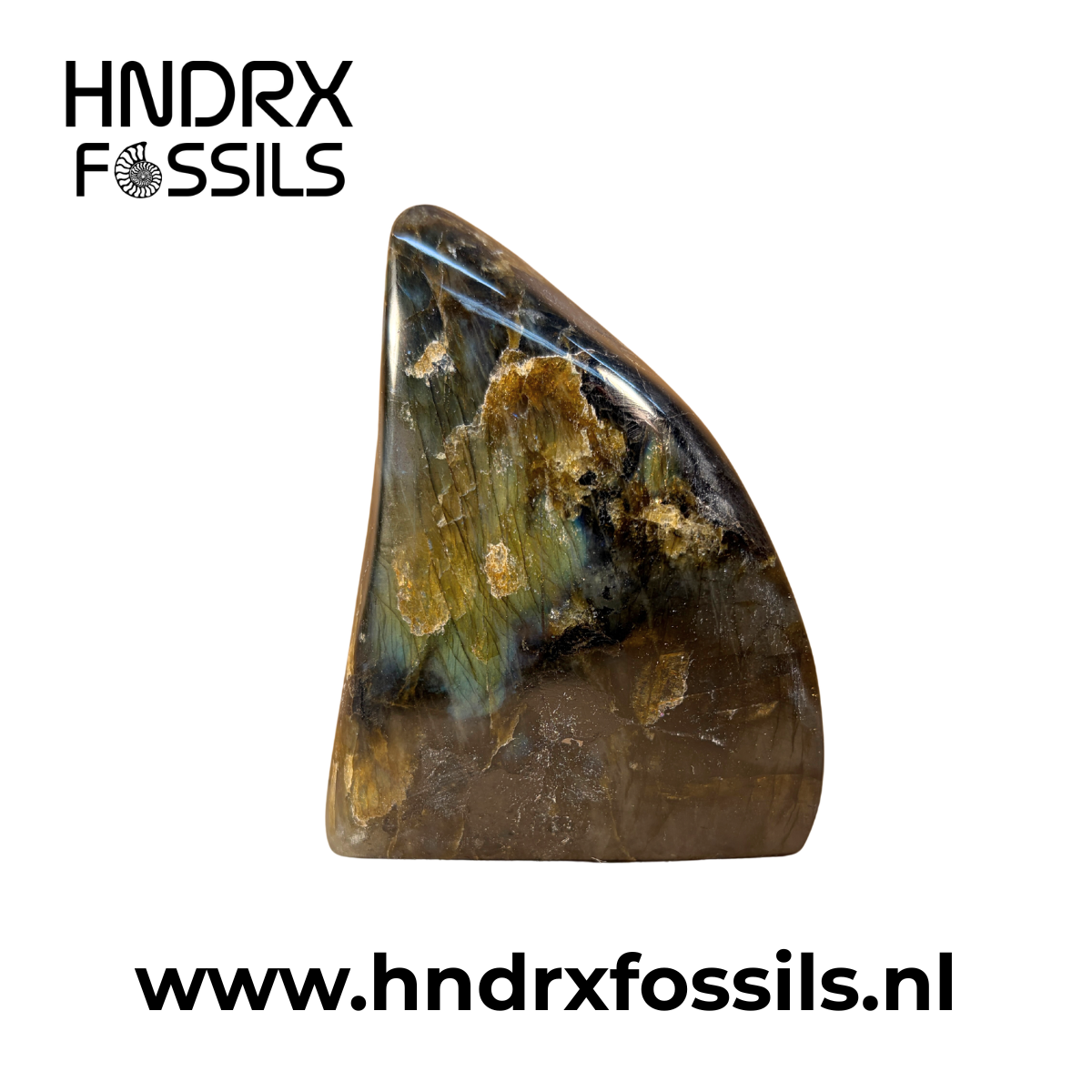 Labradoriet Vrije Vorm Handgemaakt 8,3 x 6,0 x 3,4 cm | 278 gram