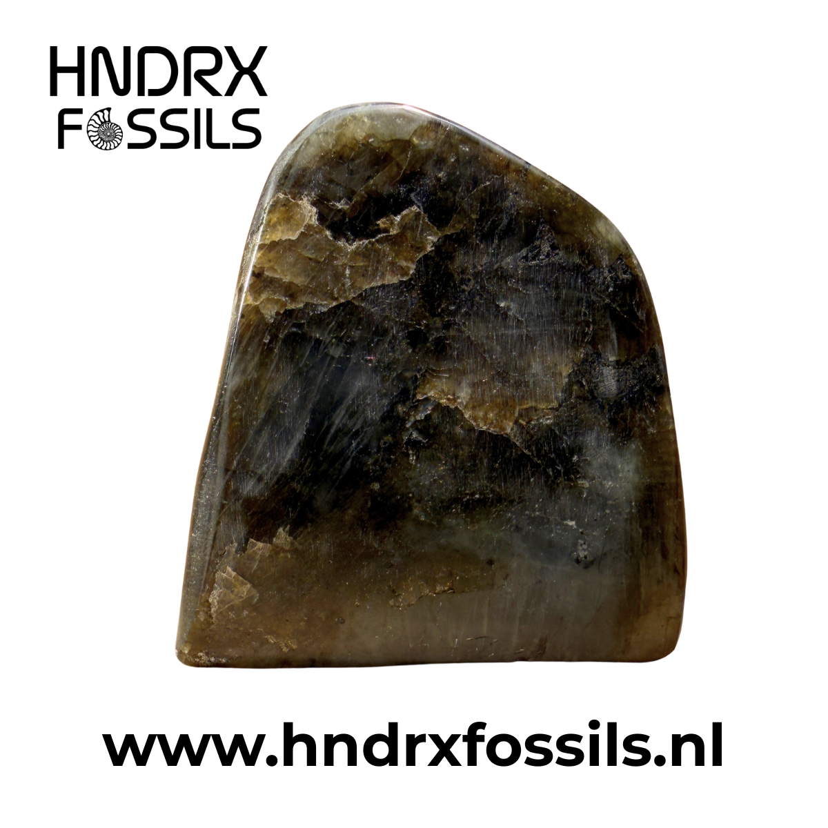 Labradoriet Vrije Vorm Handgemaakt 6,1 x 3,9 x 5 cm | 181 gram