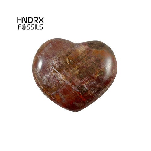 Hart van Versteend Hout 8,5 x 2 x 7,5 cm | 233 gram