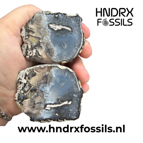Middelgrote Mexicaanse Tranca geode, gezaagd en geslepen | 274 gram
