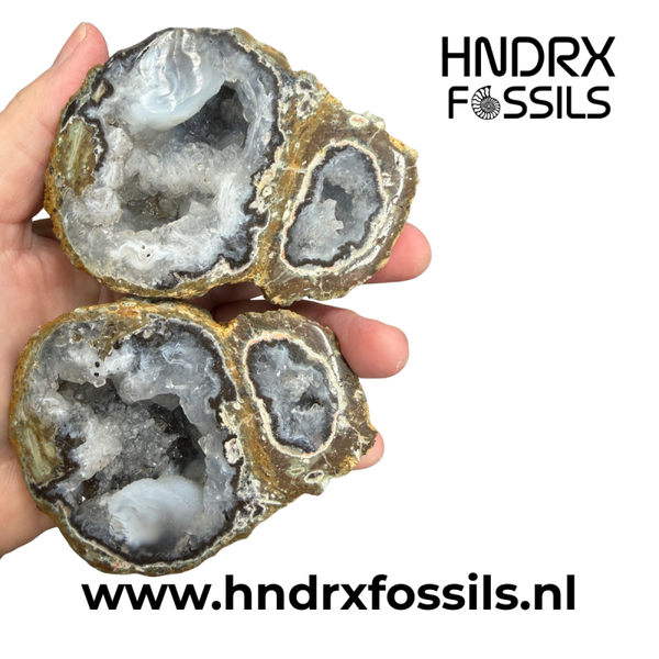 Grote Mexicaanse Tranca geode, gezaagd en geslepen | 399 gram