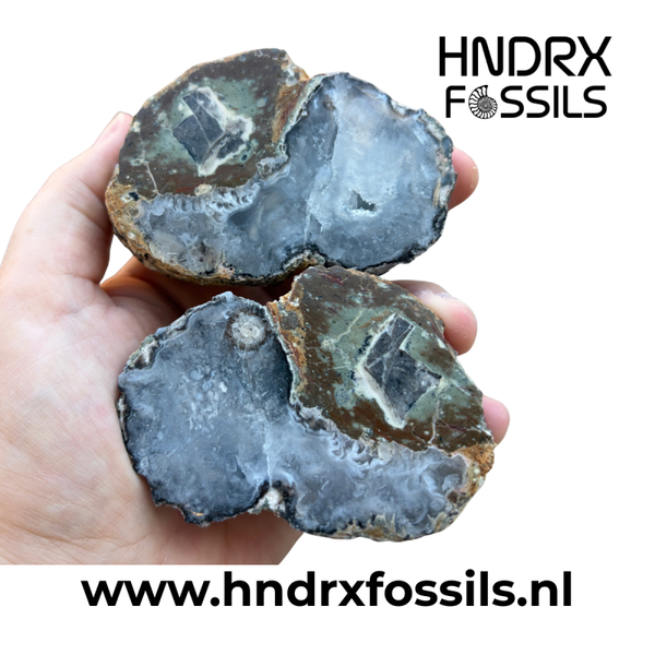 Grote Mexicaanse Tranca geode, gezaagd en geslepen | 340 gram