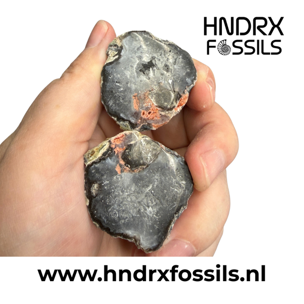 Kleine Mexicaanse Tranca geode, gezaagd en geslepen | 70 gram