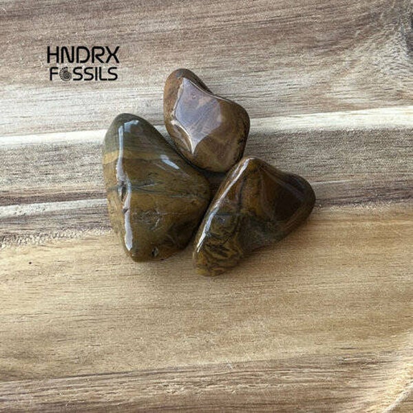 Versteend Hout