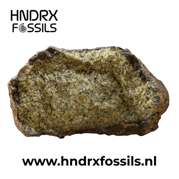 Olivijn knol 10 x 5 x 8,5 cm | 634 gram