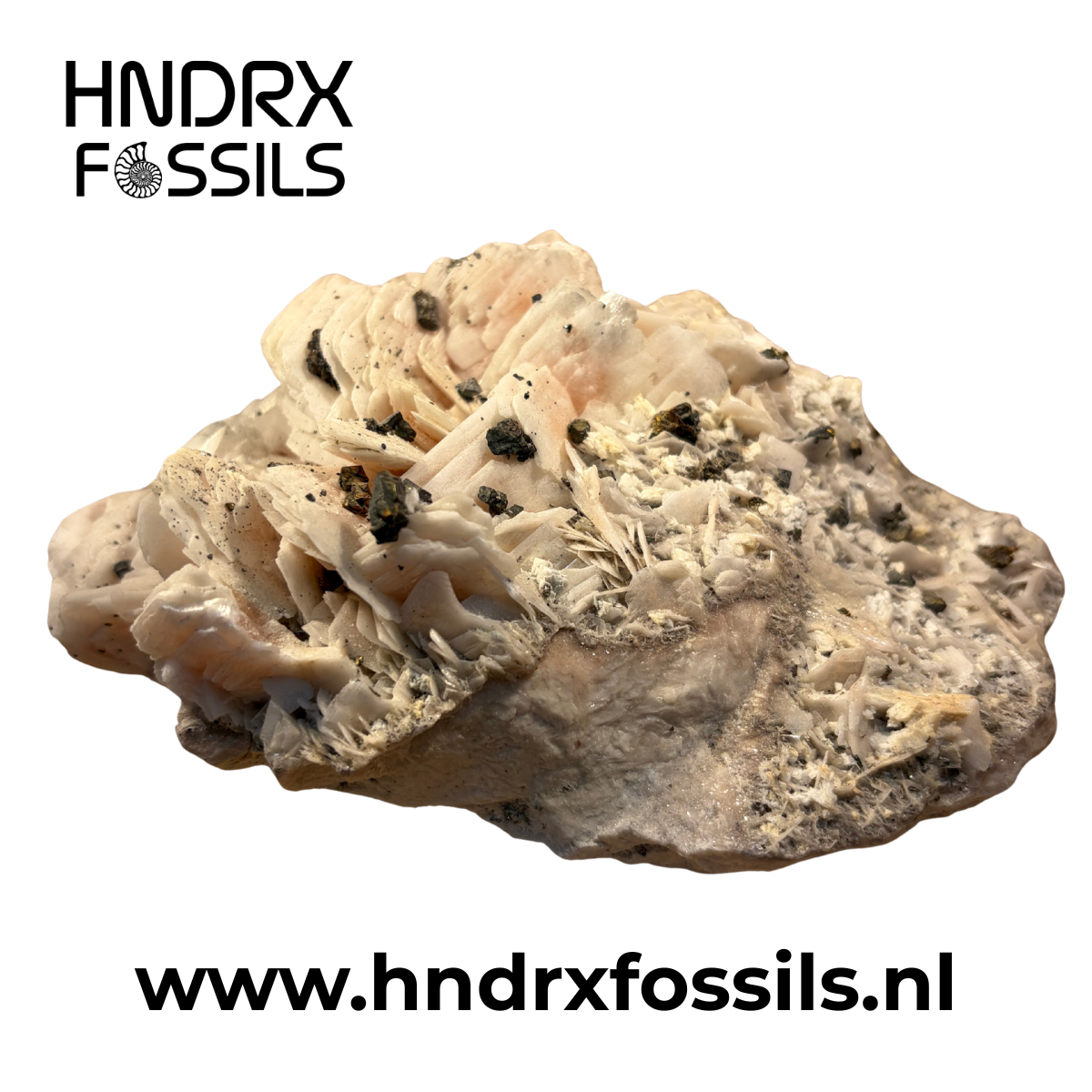 Chalcopyriet op Bariet 15 x 6 x 9 cm | 1158 gram