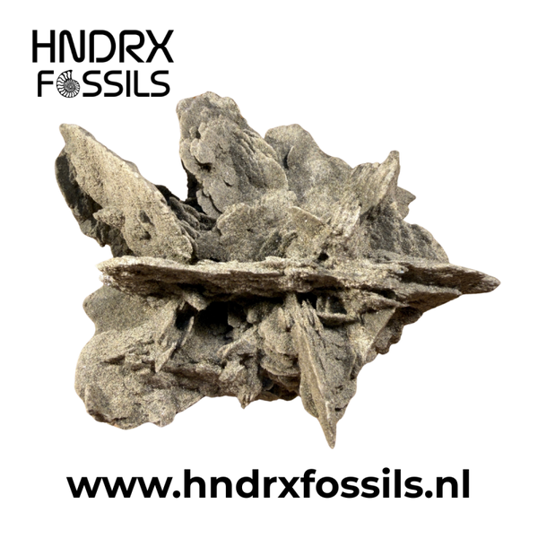 Grijze Seleniet 11 x 6 x 7 cm | 230 gram