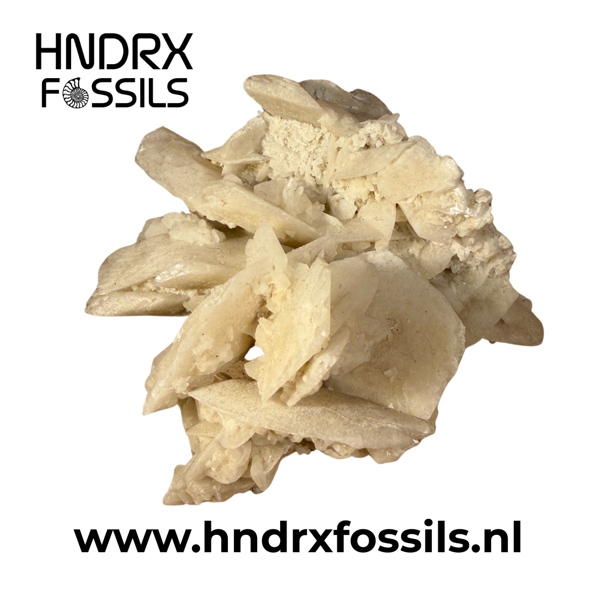 Calciet 8 x 5 x 7,5 cm | 92 gram