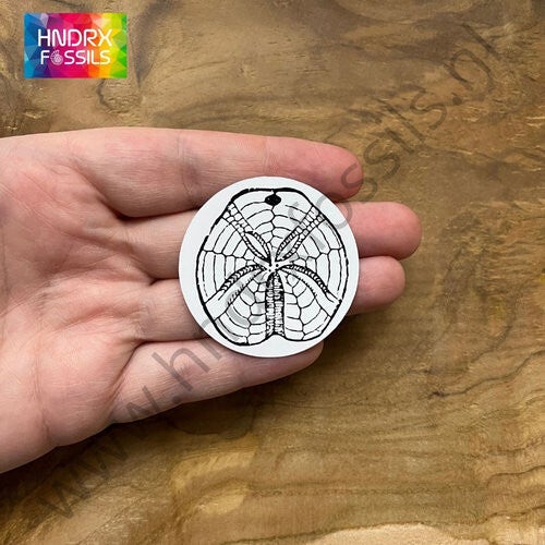 Sticker Zee-egel