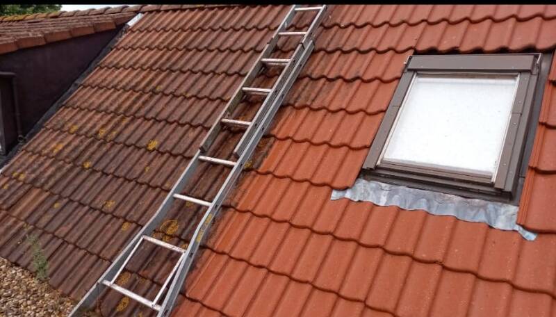 dakpannen reinigen schoonmaken in sint annaland ht cleaning mos algen groen