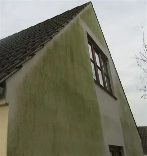 gestucte gevel laten reinigen schoonmaken gevelreiniging in nieuw vossemeer door ht cleaning