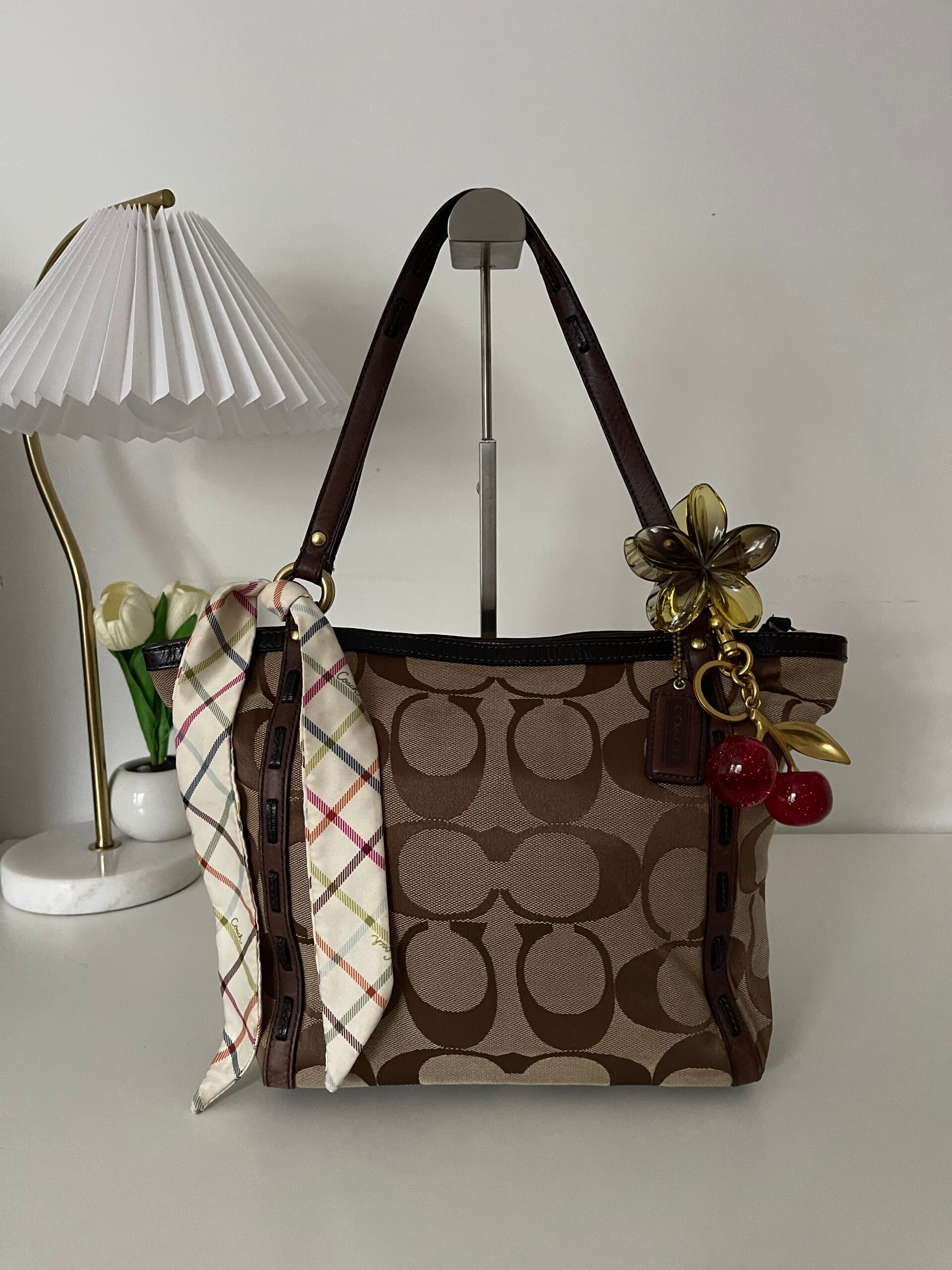 Coach Signature Canvas Tote