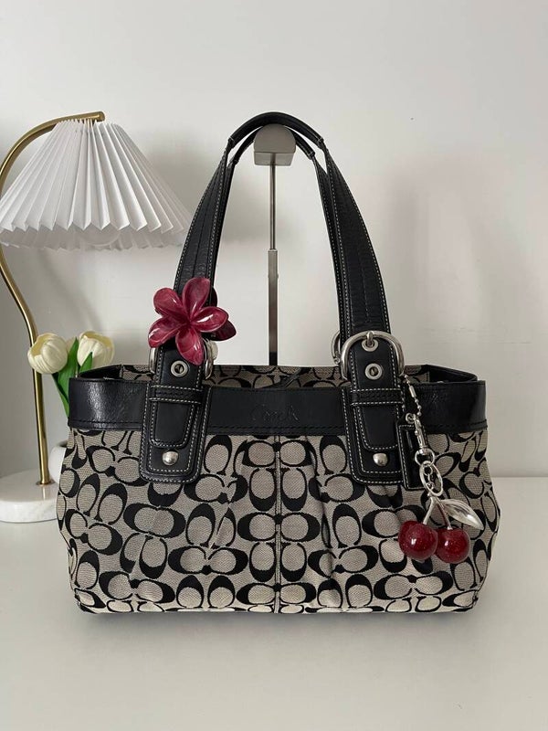 Coach Soho Pleated Signature Hobo Bag