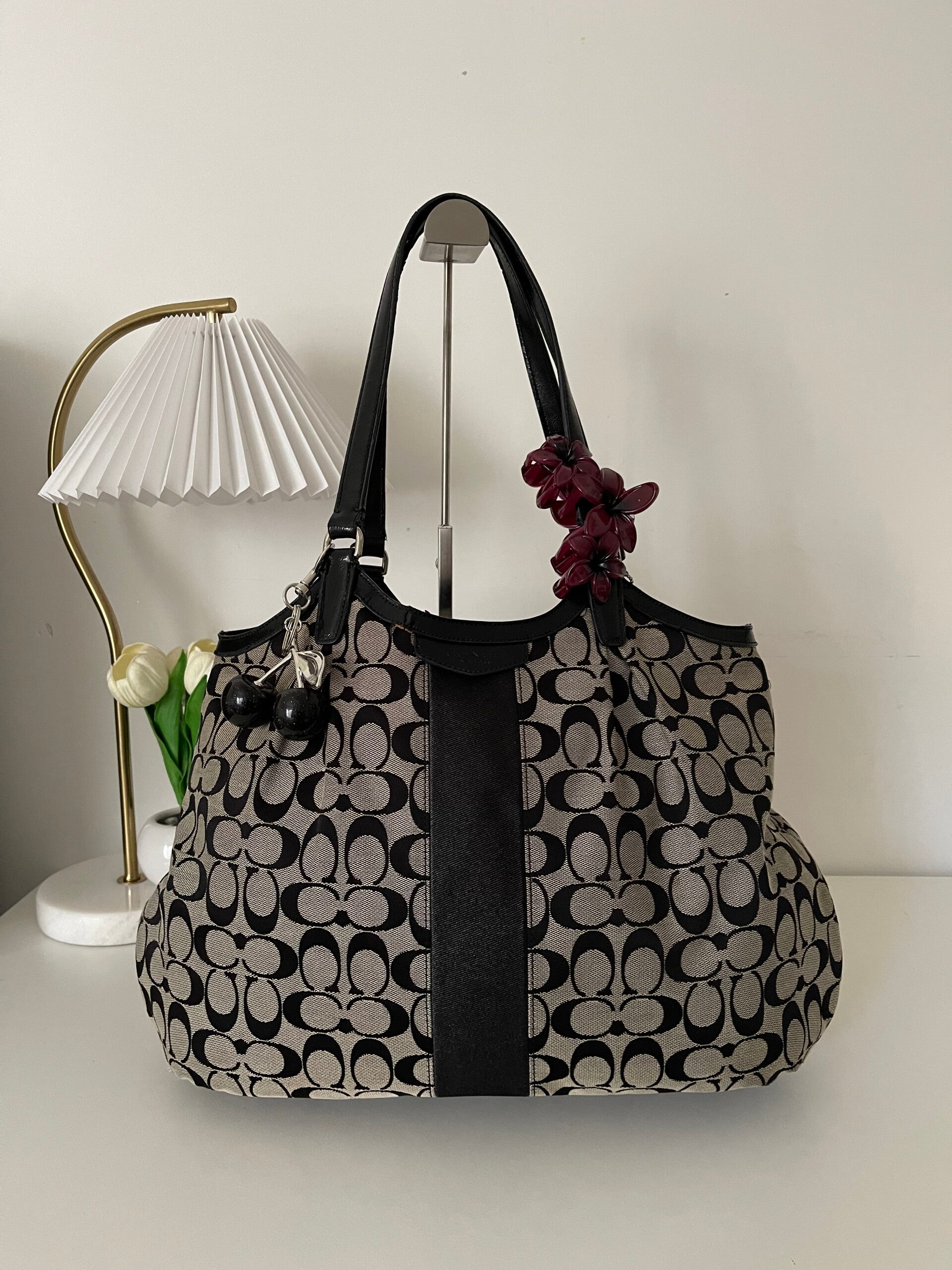 Coach Signature Canvas Tote Bag