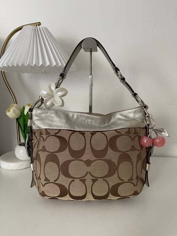 Coach Zoe Signature Hobo Bag