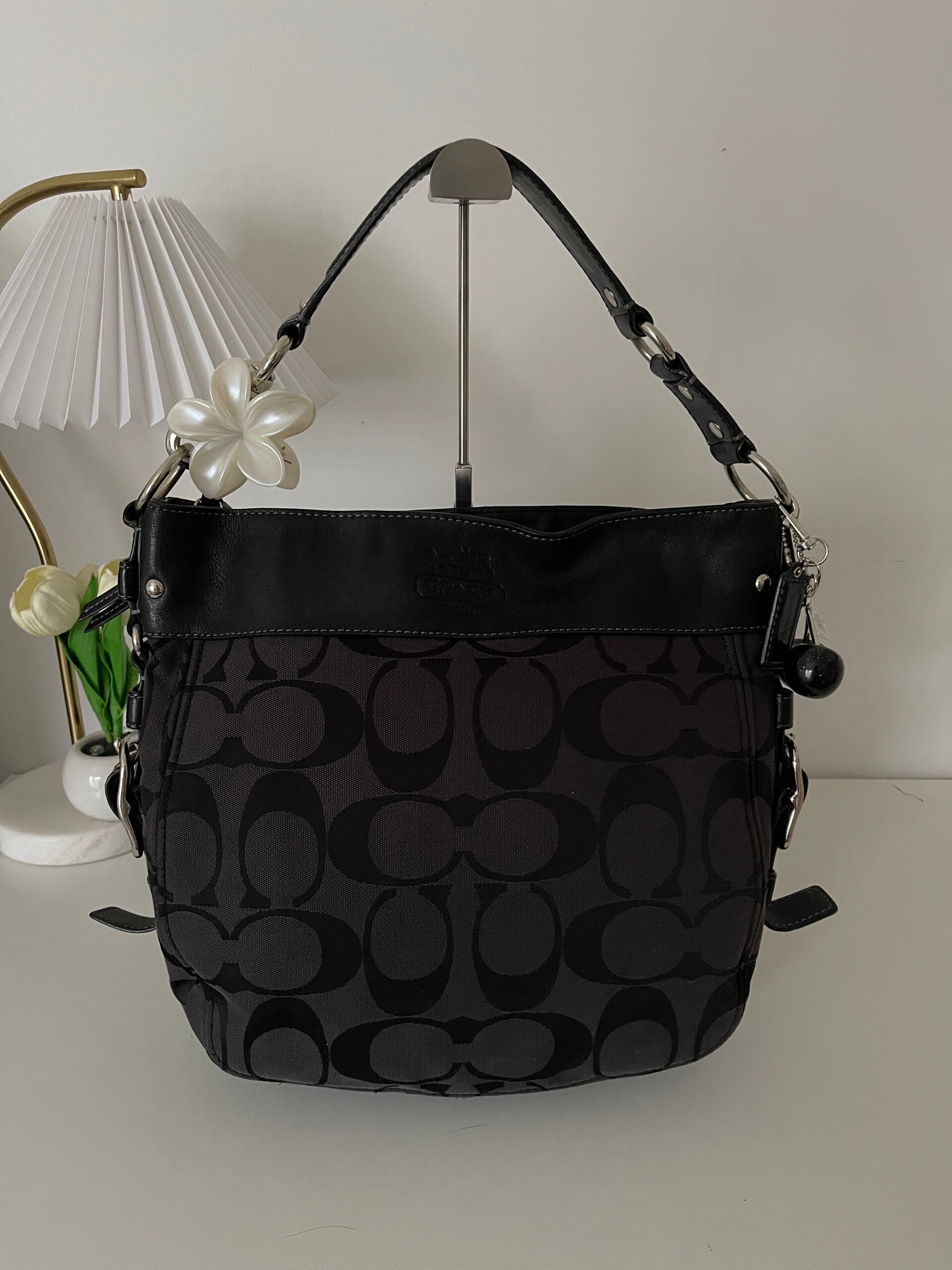 Coach Zoe Signature Convertible Hobo Bag