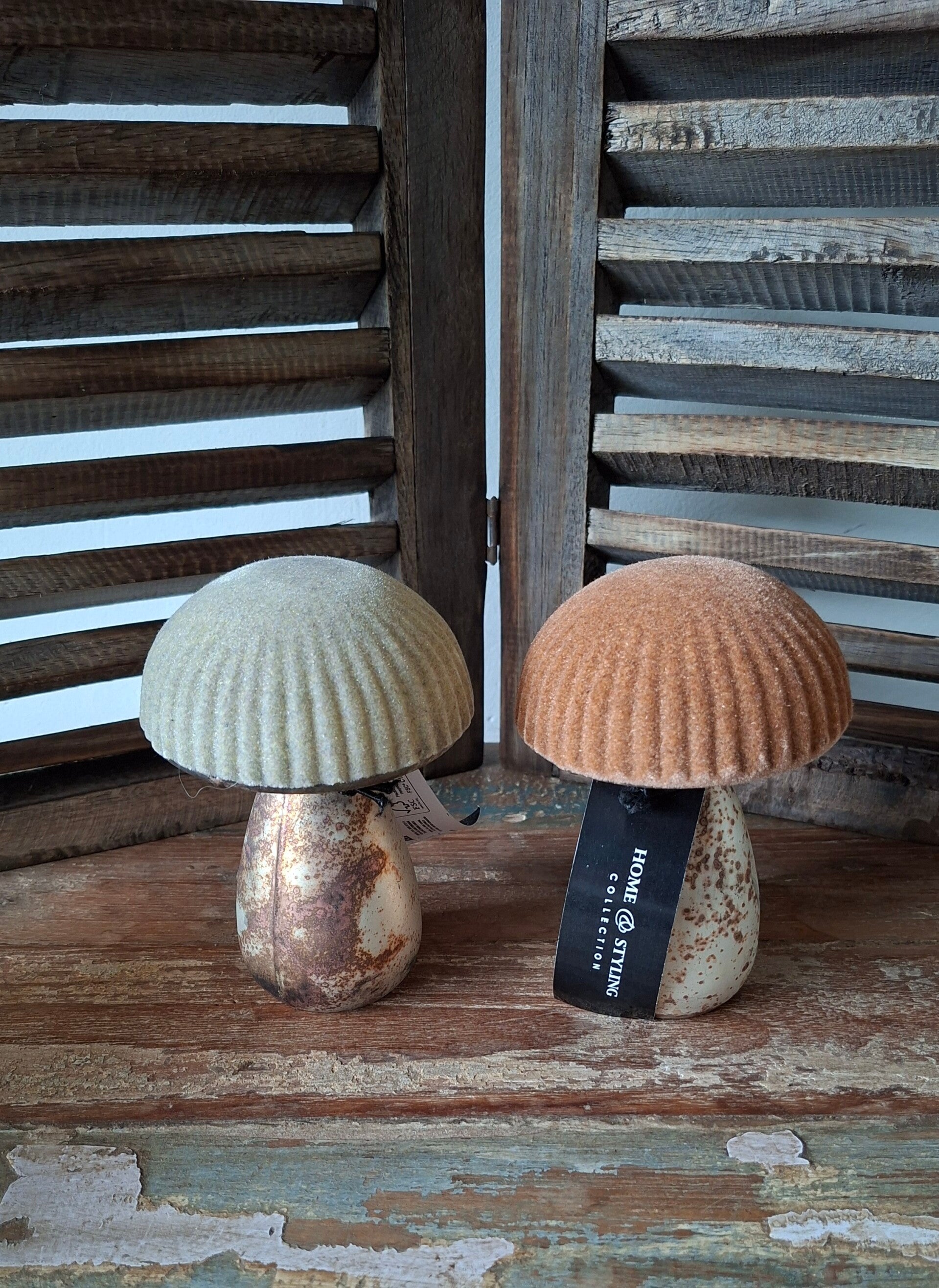 Set van 2 paddenstoelen glas roest metaal