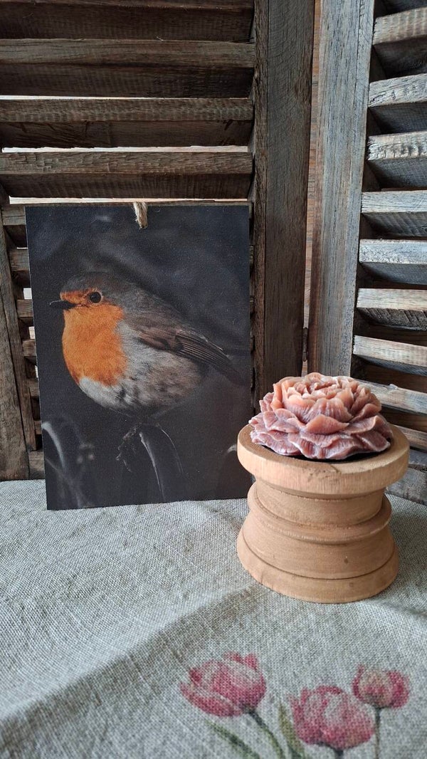 Houten deco bordje met een roodborstje