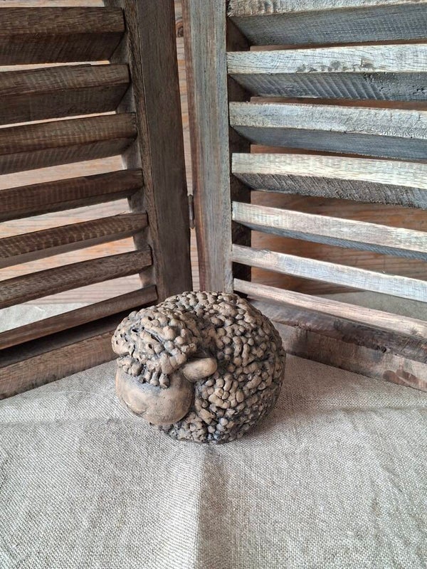 Brynxz Sheep Classic Majestic Brown