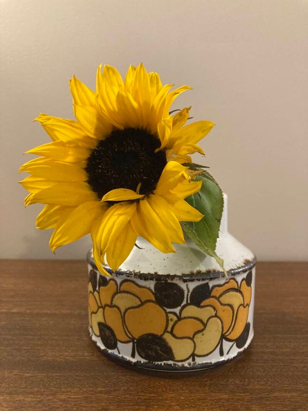 Engels Midwinter servies