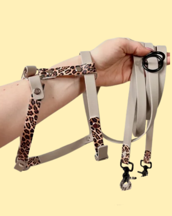 Set Geschirr + Leine "Leo"