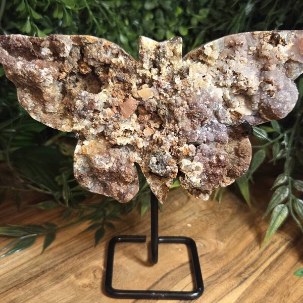 Chalcedoon Vlinder - 0299