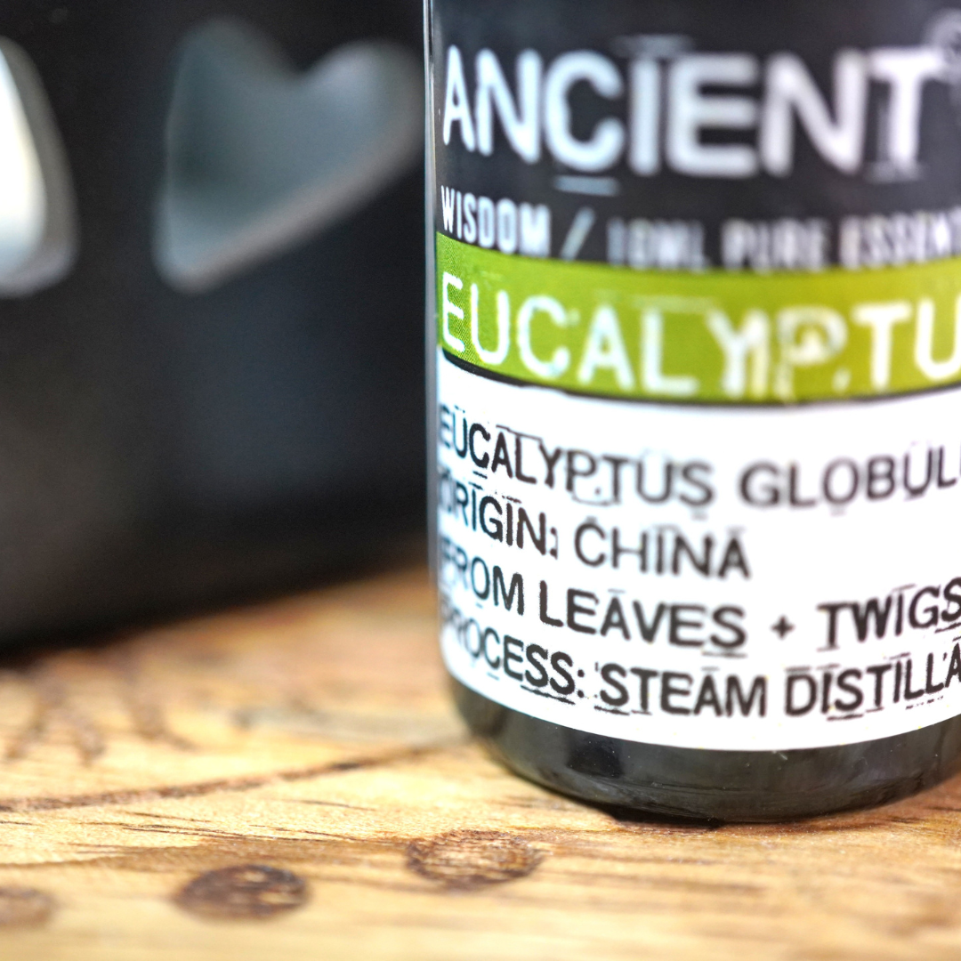 Eucalyptus etherische olie van Ancient Wisdom, 10 ml