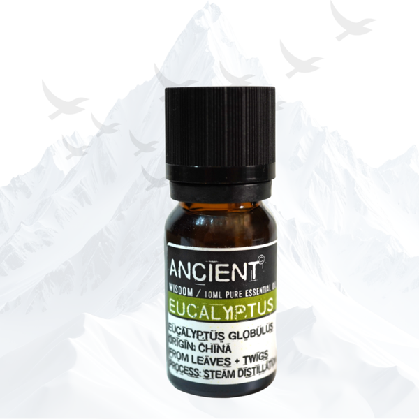 Eucalyptus Etherische Olie Ancient Wisdom - 0549