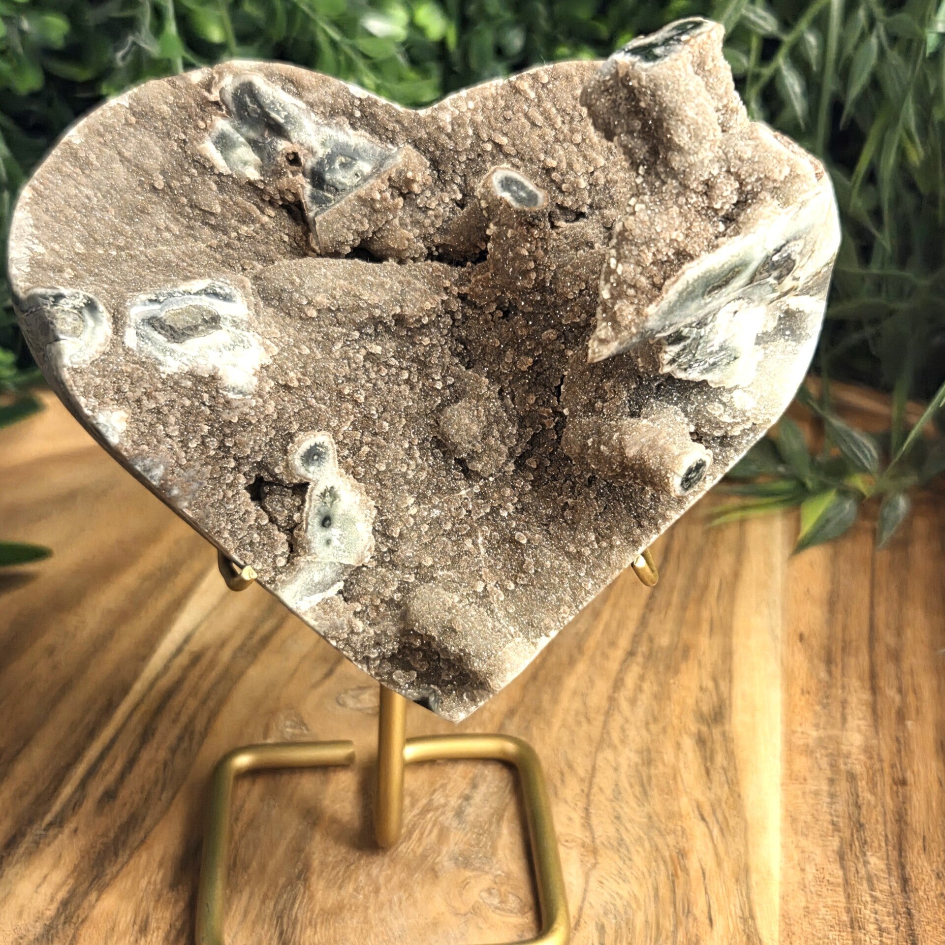 Chalcedoon Hart - 0698