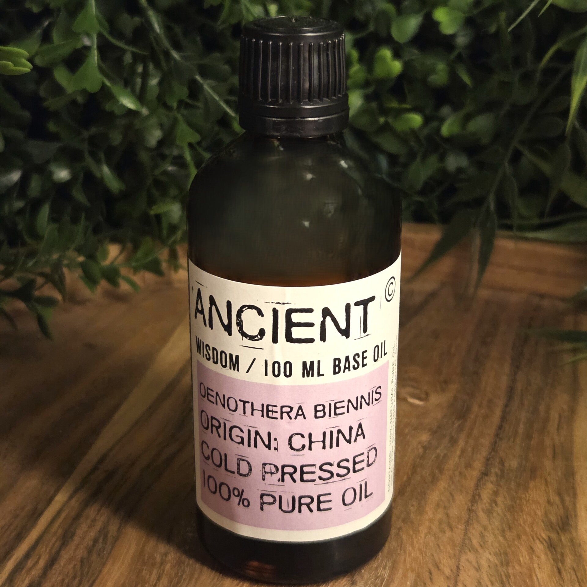 Teunisbloem Basis Olie Ancient Wisdom - 1413