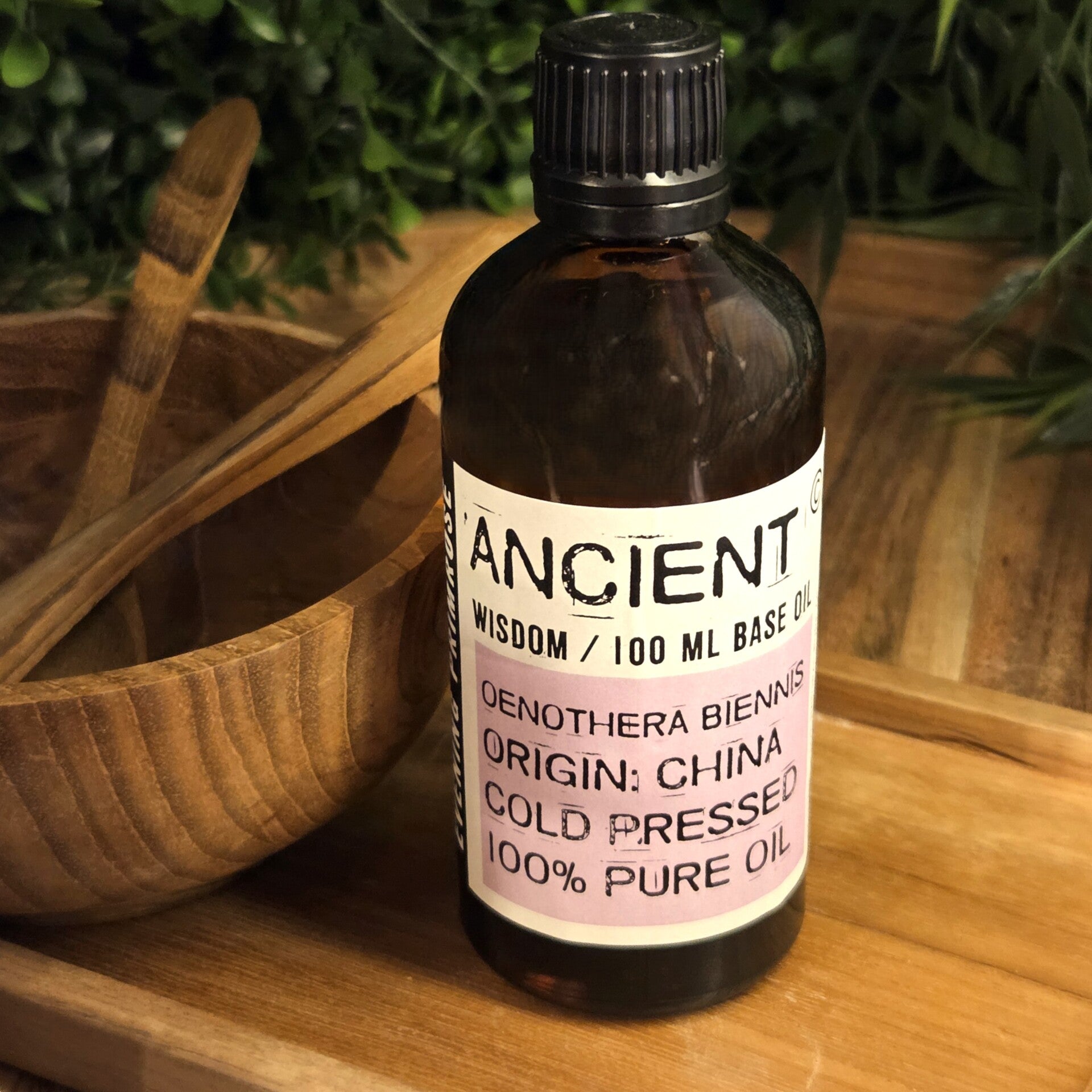 Teunisbloem basis olie van Ancient Wisdom, 100 ml.