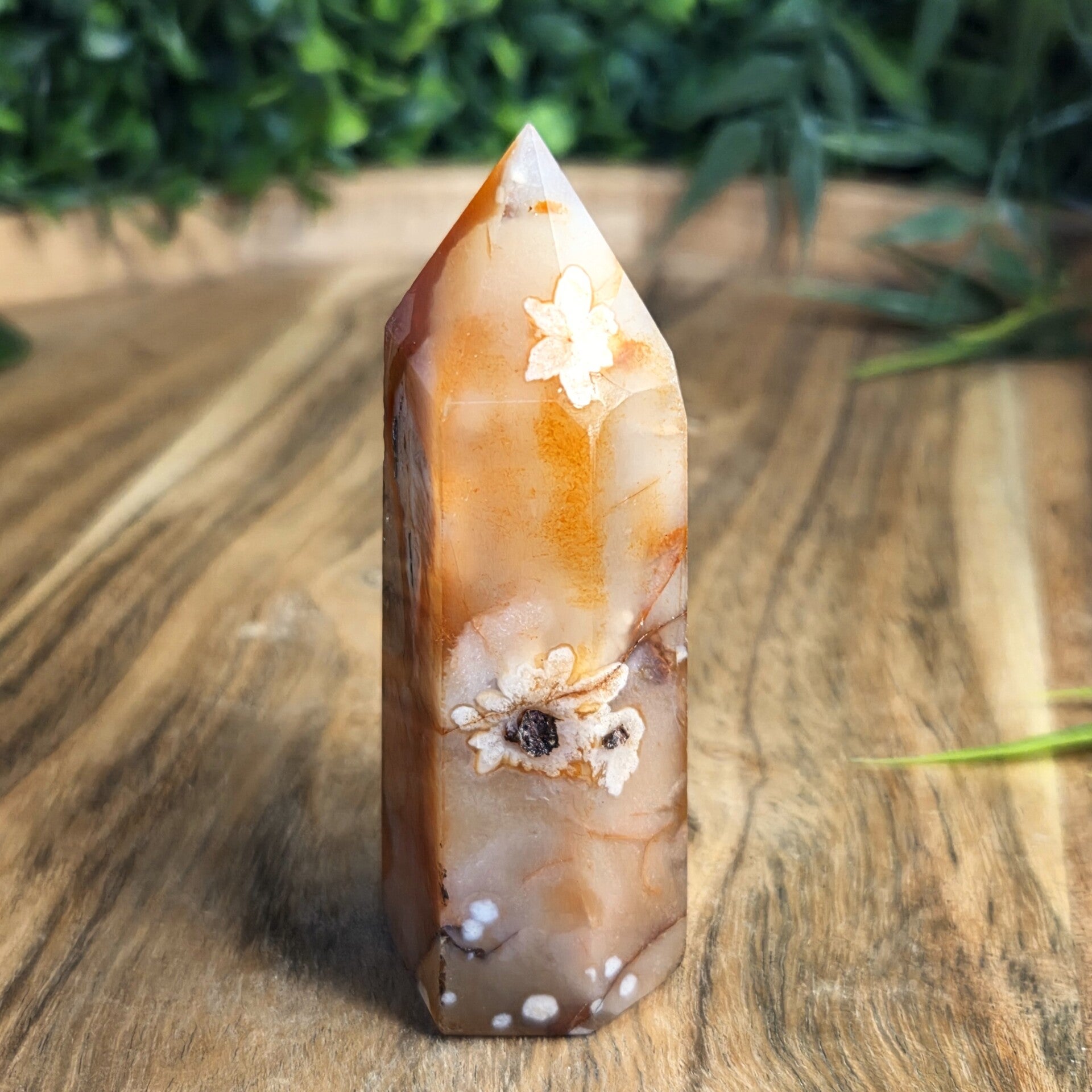 Bloemagaat punt van ca. 80 mm.