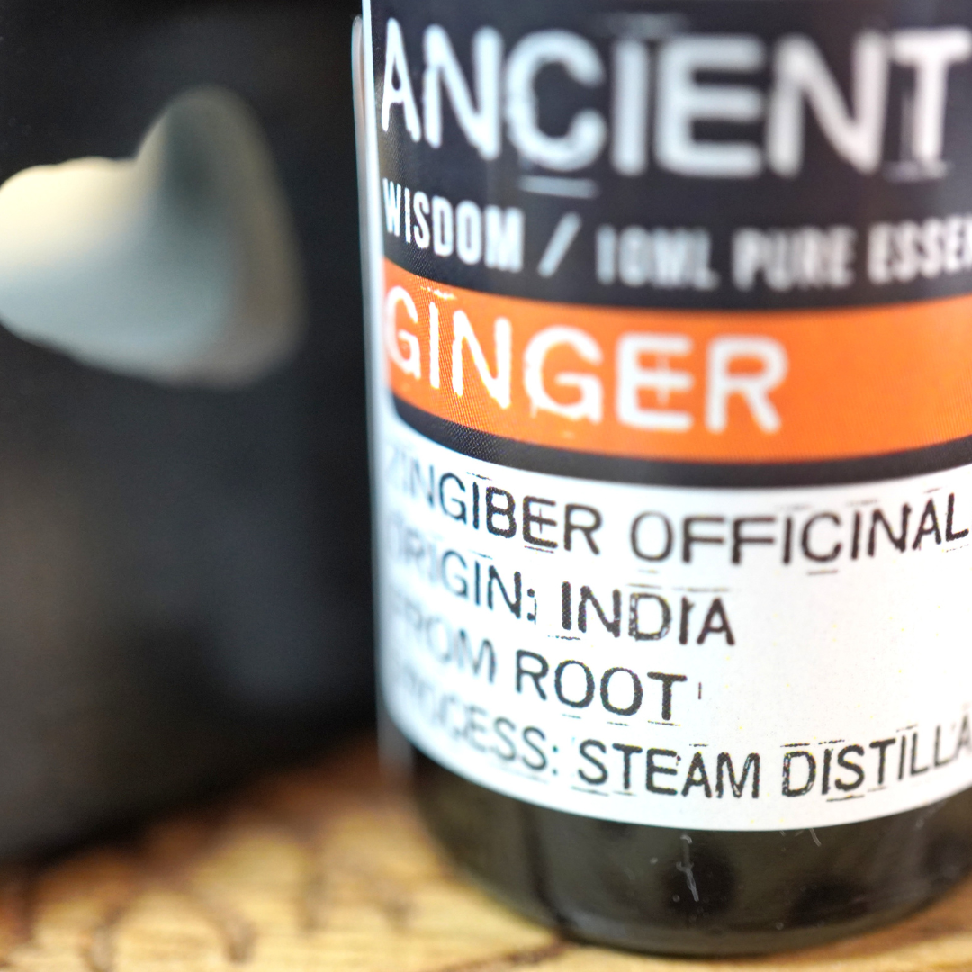 gember etherische olie van Ancient Wisdom, 10 ml